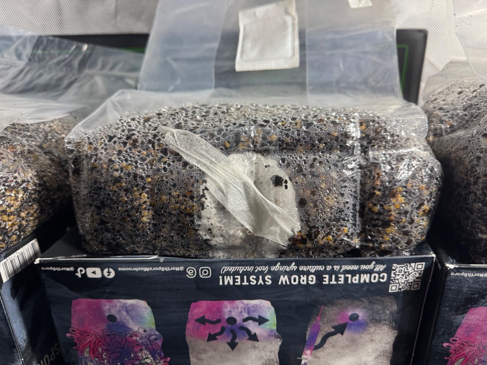 North Spore 'ShroomTek' + Spore Boostr All-in-One Mushroom Grow Bag | Grow Dung-Loving Mushrooms Like Magic Right in The Bag | Just Add Your Own Spores | Made by Mycologists customer photo 2