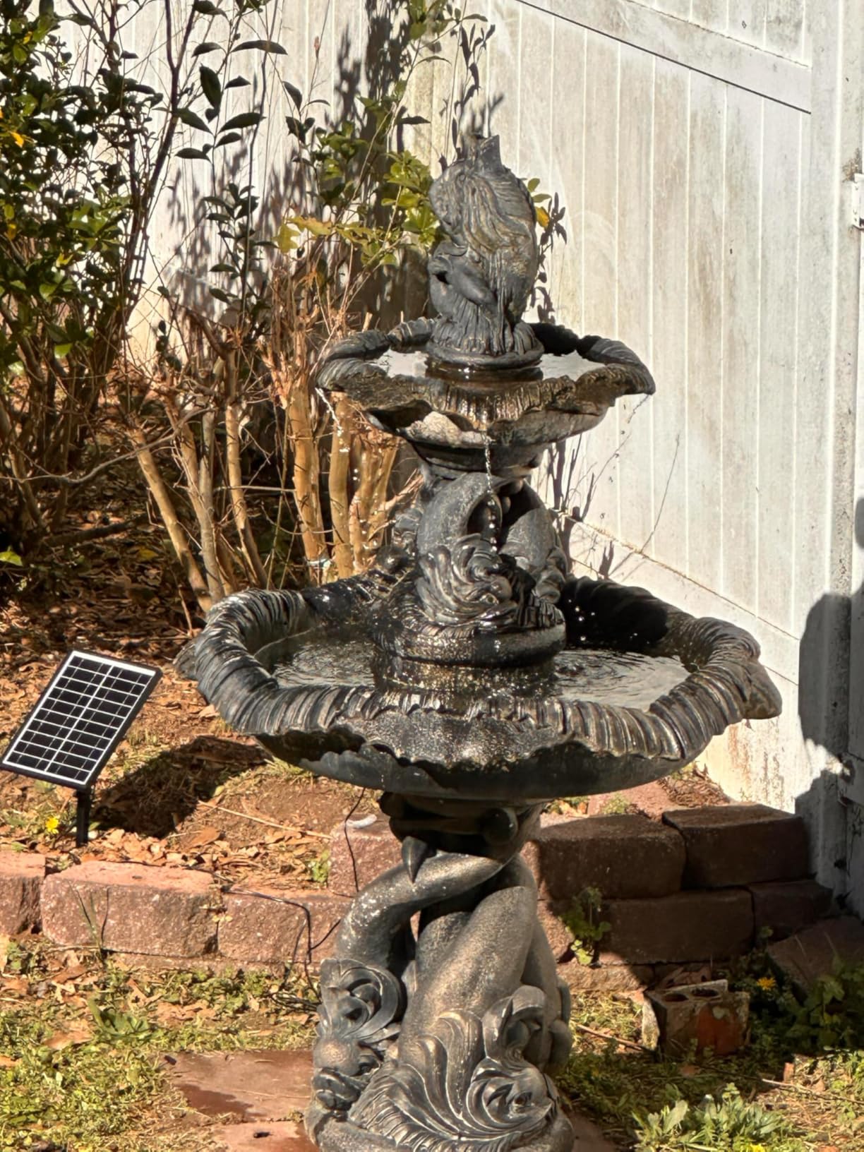 Biling 8W Solar Fountain Pump with 3600mAh Battery Backup for Outdoor Use | Solar Water Pump with 5ft Tubing, 5 Nozzles, Work All Day for Bird Bath, Garden Pond, Fish Tank and Hydroponics customer photo 1