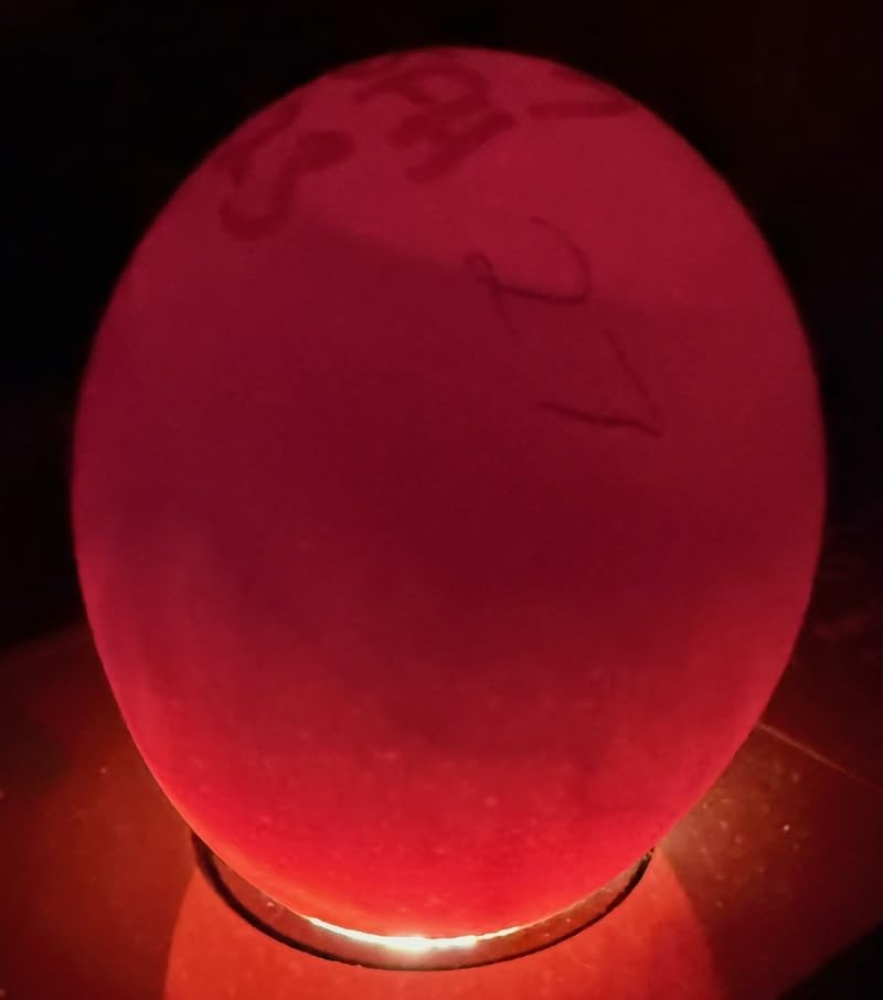 MATICOOPX 20 Egg Incubator with Humidity Display, Egg Candler, Automatic Egg Turner, for Hatching Chickens customer photo 2