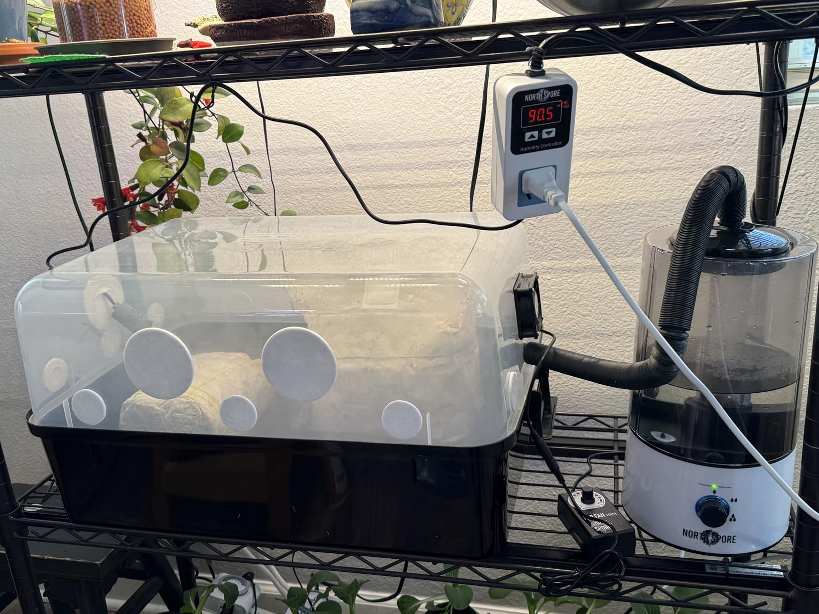 North Spore Automated 'Boomr Bin' Mushroom Monotub Kit | Mushroom Grow Kit with Automated Humidity Control, FAE Fan Included, Holds 25 lbs Substrate, Light-blocking Base, Stackable customer photo 1