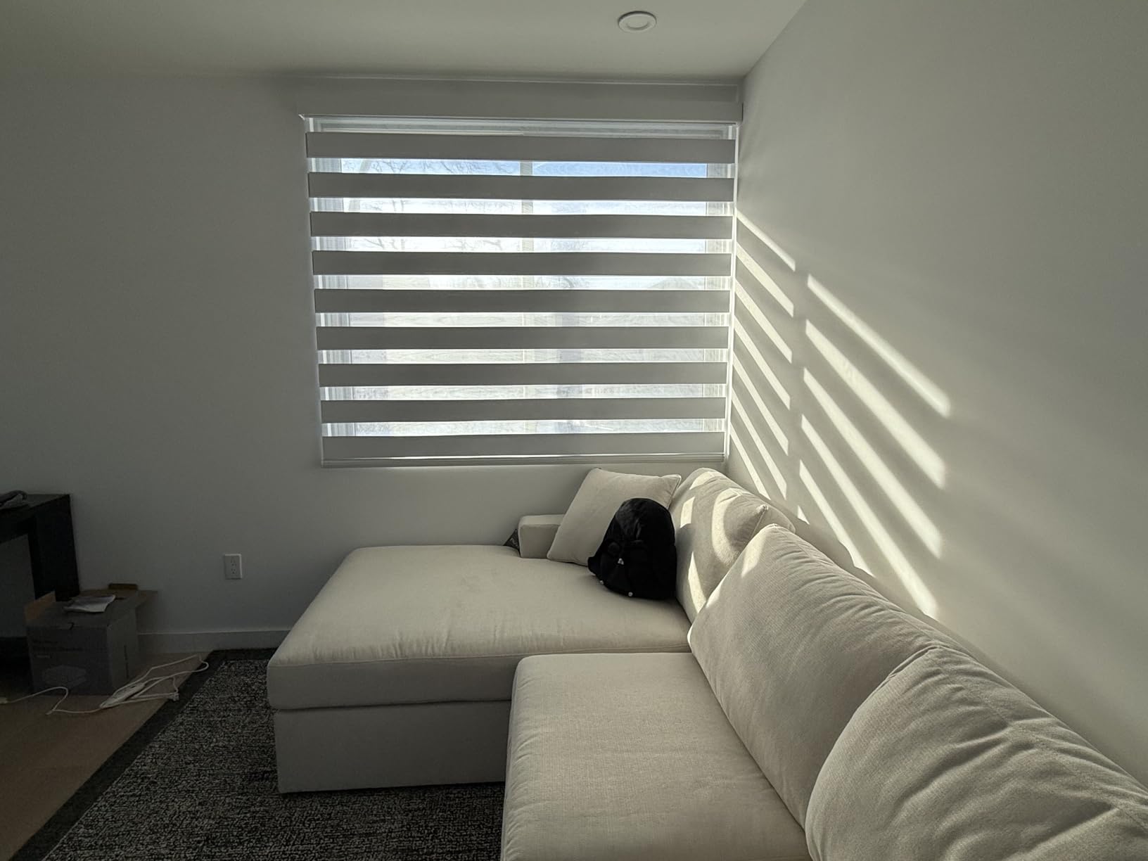 Motorized Zebra Blinds Custom Size Smart Dual Layer Shades for Windows with Remote | Assembled in USA | Electric Day and Night Privacy Light Filtering Rechargeable Quiet Motor Window Shades customer photo 1