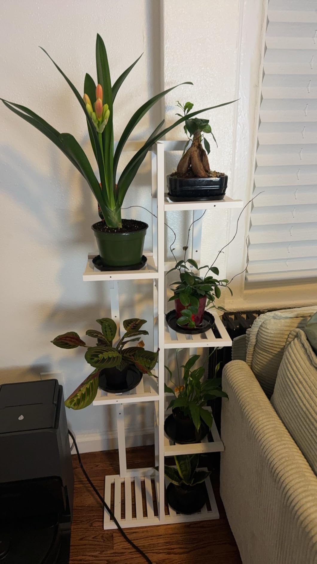 ROMGUAR CRAFT 6 Tier Bamboo Plant Stand Indoor, Wood Tall Flower Holder Corner Tiered Plant Shelf for Multiple Plants (Natural) customer photo 2
