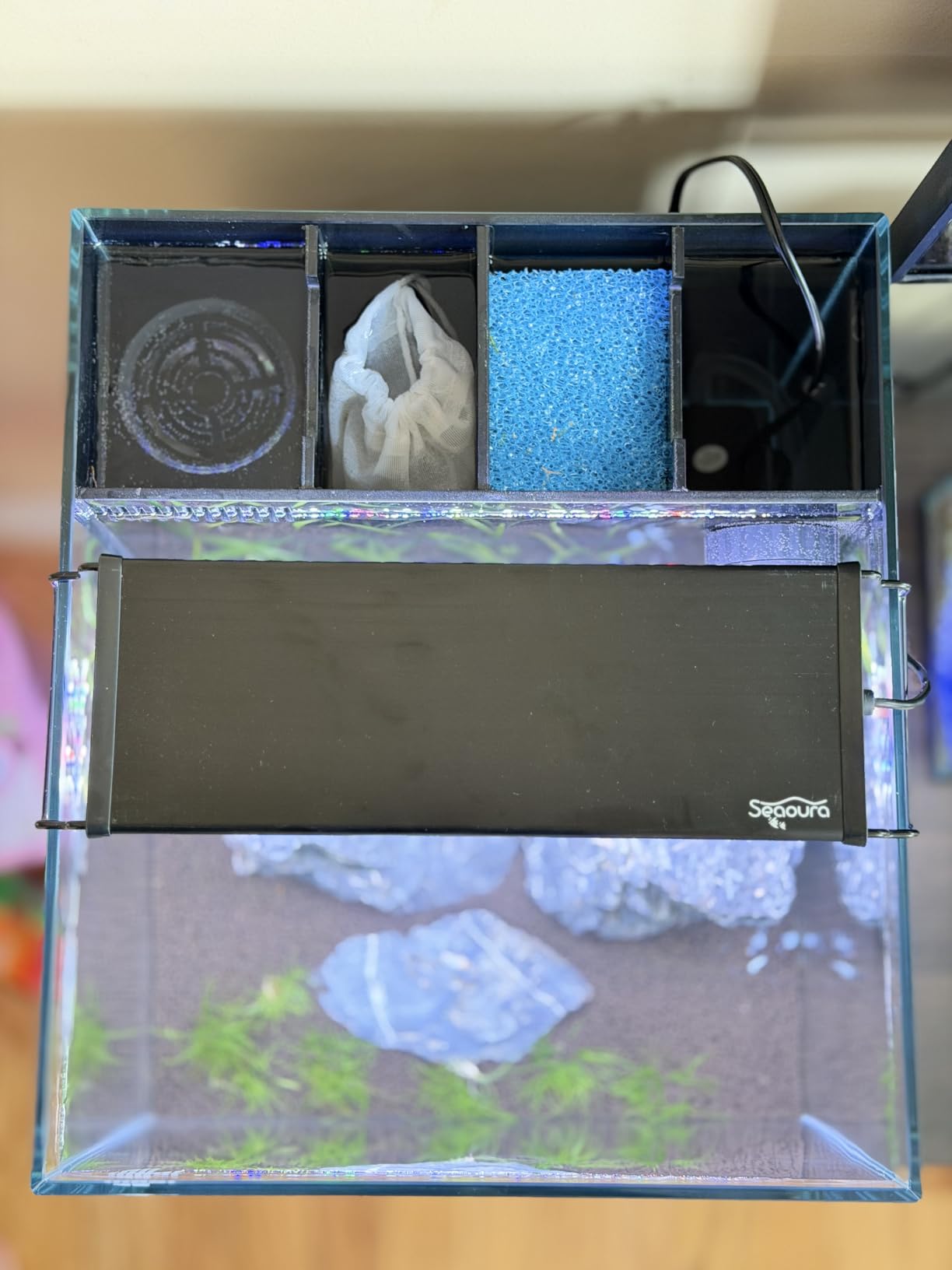 Coralland 8-Gallon Saltwater Aquarium - Ultra Clear Low Iron Glass, 45° Angled Joint Design, Crystal Clear Viewing, Perfect for Marine Fish & Reef Tanks & Freshwater customer photo 2
