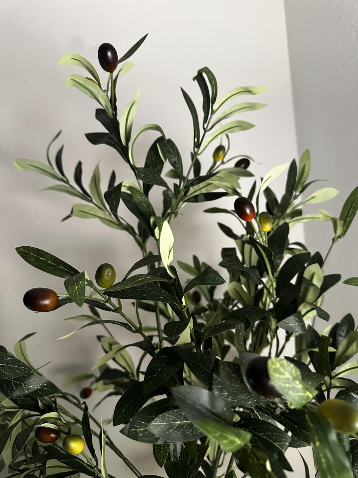 6FT Artificial Olive Tree Indoor Tall Faux with Planter&Basket | Large Fake Olive Silk Trees customer photo 2