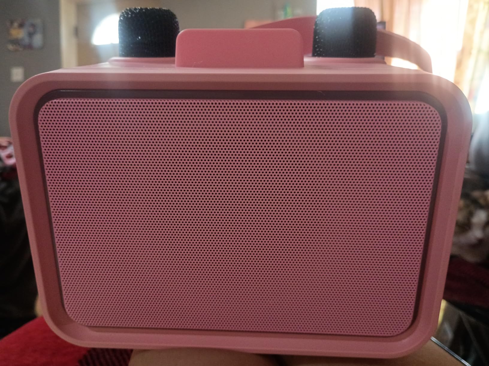 Karaoke Machine for Kids Adults, Portable Bluetooth Speaker with 2 Wireless Microphone with LED Lights, Karaoke Microphone with PA System Supports USB/TF/AUX, Gift for Party (Black) (Pink) customer photo 1