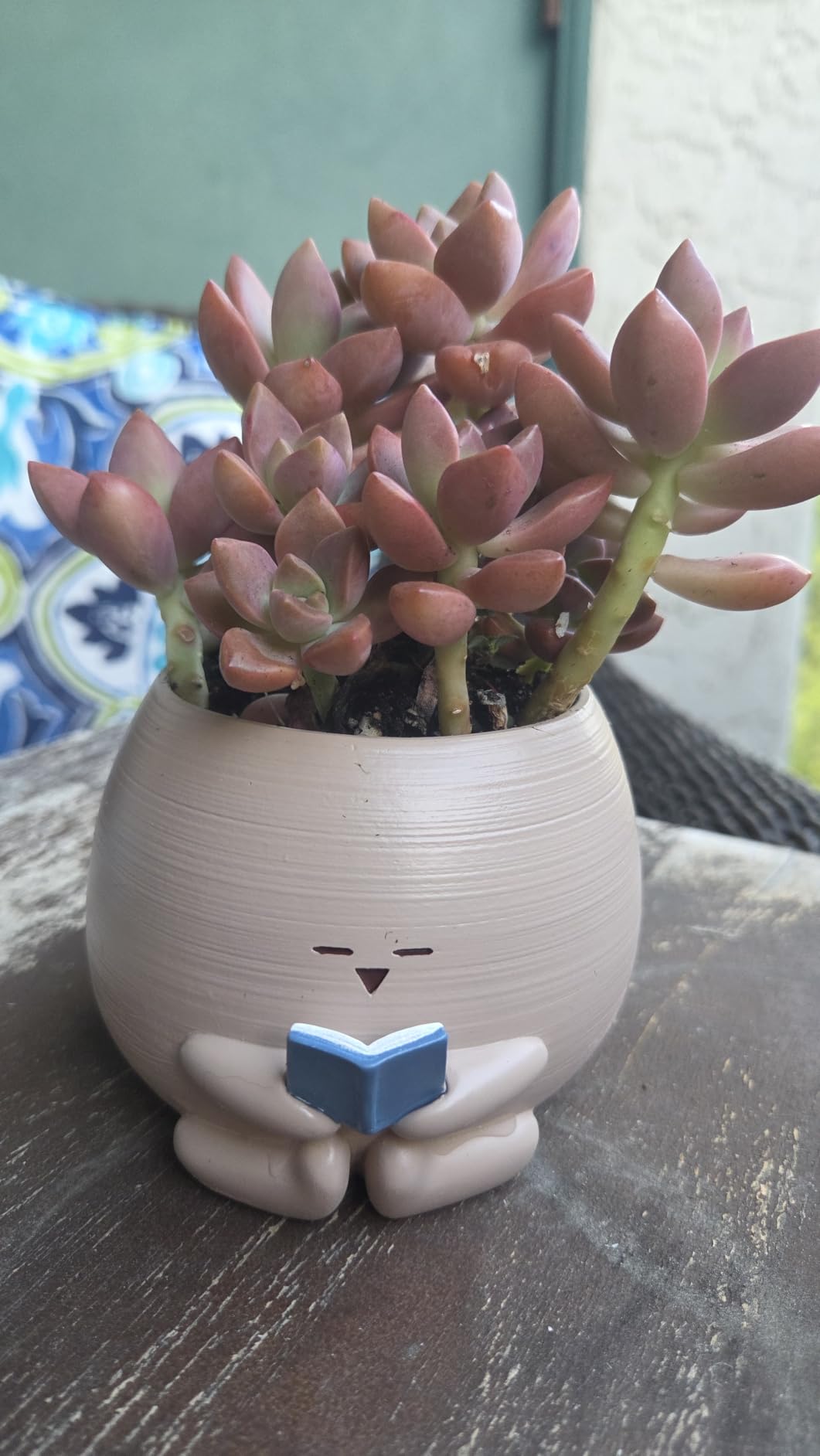 Bookworm Planter Pot - Cute Plant Pots for Succulents with Thank You Sign & Card, Small Reading Planter for Indoor Outdoor Decor, Succulent Gifts for Book Lovers, Teacher Dad Mom Appreciation customer photo 1