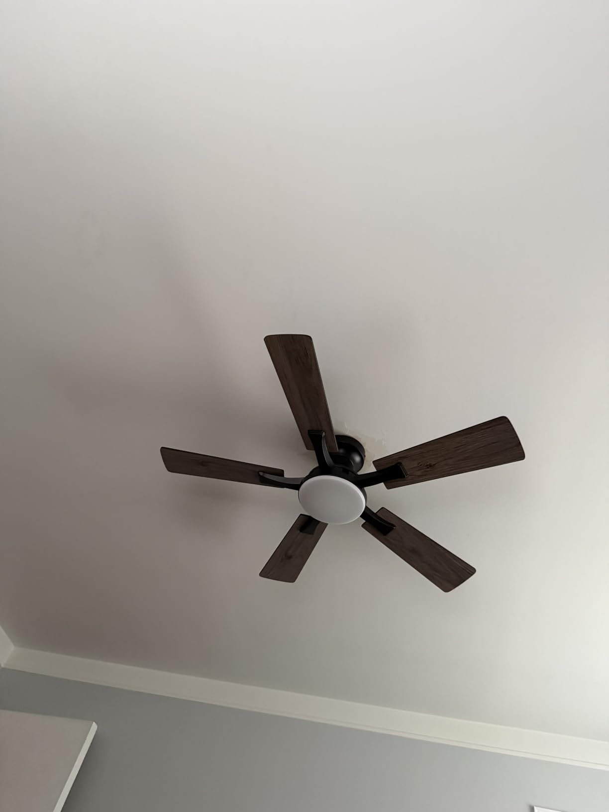 ZMISHIBO 52 Inch Ceiling Fans with Lights, Remote&App Control, Flush Mount | Low Profile, Dimmable 20W LED Light, Quiet Reversible Motor, Strong Airflow, Easy Install for Bedroom/Living Room/Apt, Black customer photo 1