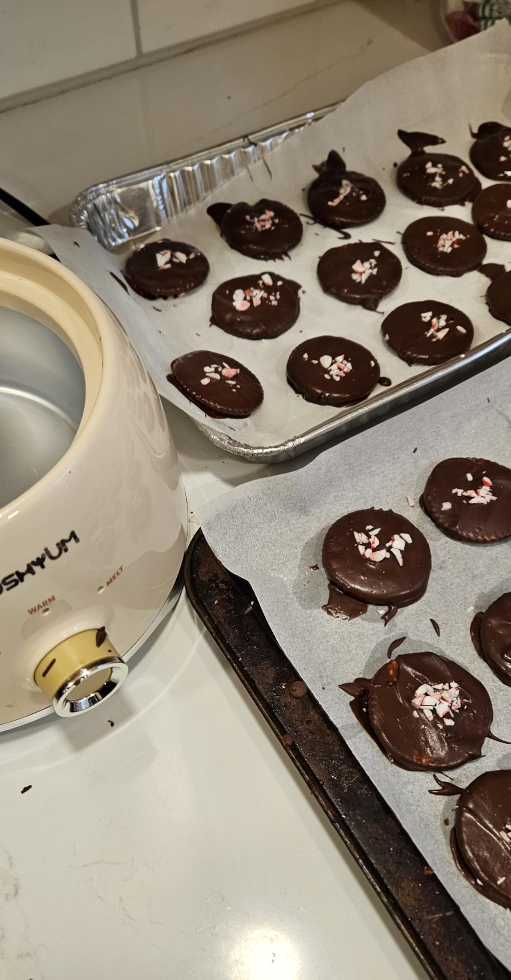 LUSHYUM Electric Chocolate Melting Pot with 2 Insert Pots, 4-Cup Chocolate | Even Heating & Fast Melting, BPA-Free Silicone, Easy Clean, Less Waste, Ideal for Chocolate & Candy Melts, Parties & Fondue customer photo 2