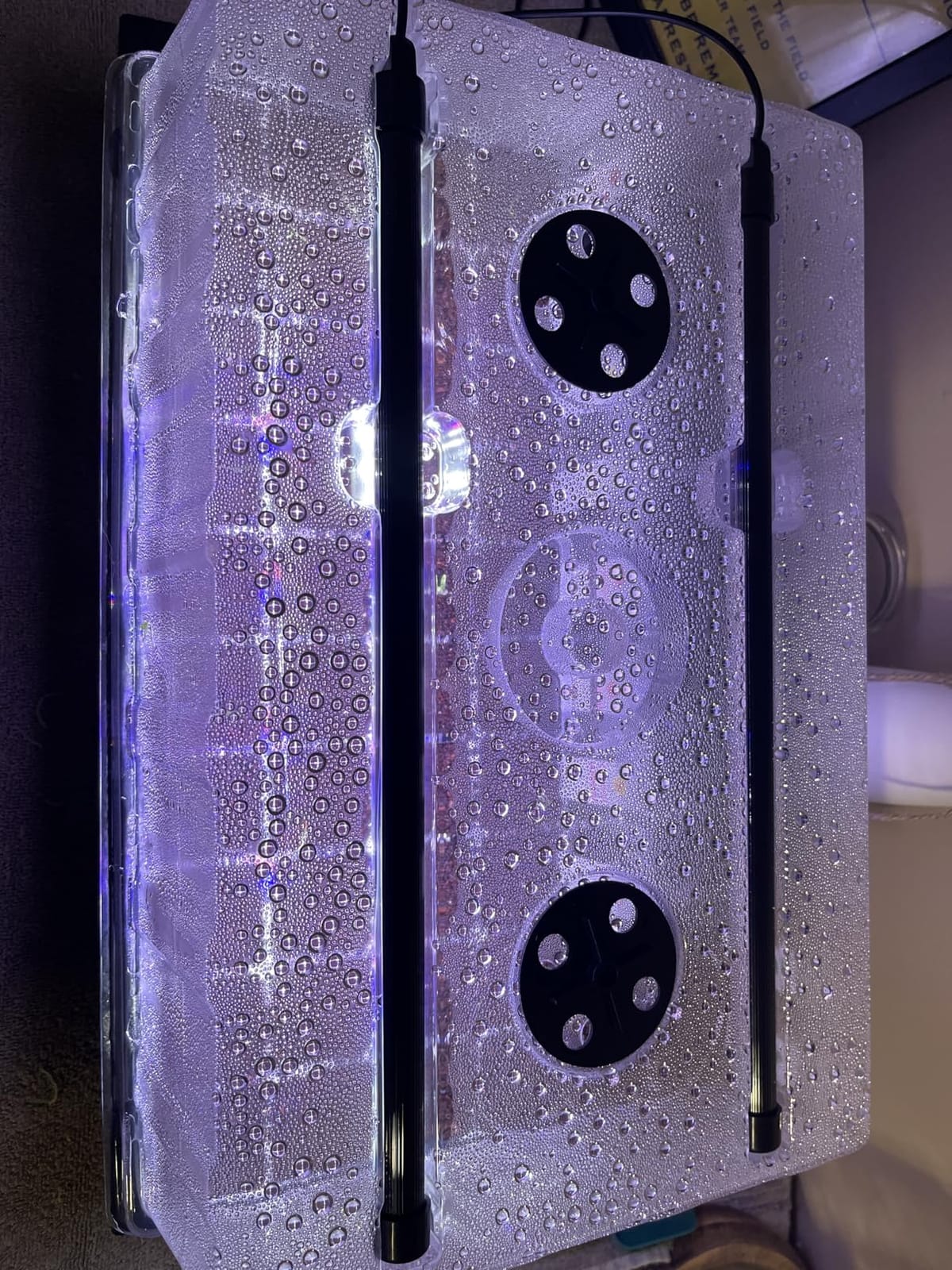 Patigrow 60-Cell Self-Watering Seed Starter Tray with Grow Light, Seed Starter Kit with 4.07
