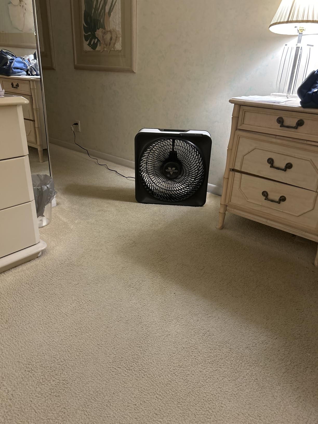 Vornado Model 80 High Velocity Electric Box Fan with Removable Grille, 5 Speed Settings, Powerful Airflow, Whole Room Air Circulation, Targeted Cooling, Cord Storage, Durable Floor Fan, Ice White customer photo 2