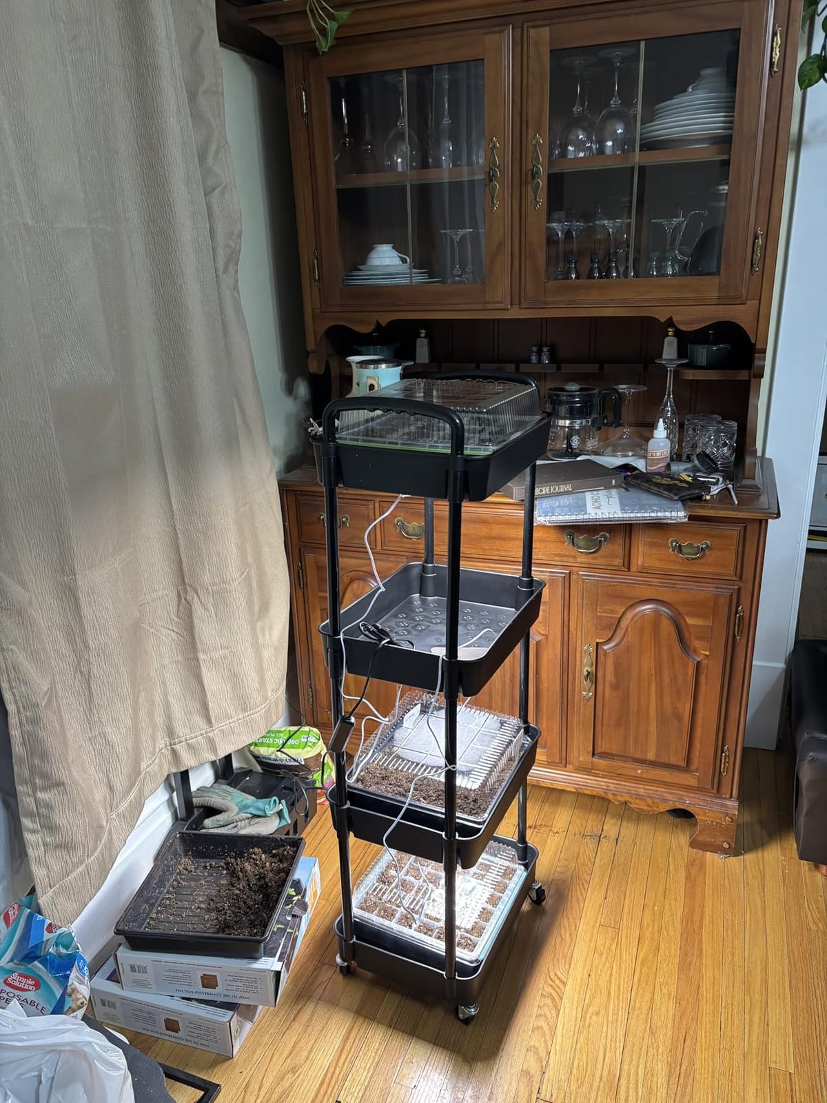 SDOVUERC Full Spectrum 768 LEDs Grow Lights, Plant Grow Lights for Indoor Plants with Daisy Chain Function, Sunlike Spectrum,4/8/12/16/20H Timer for Seed Starting(Pack4) customer photo 1