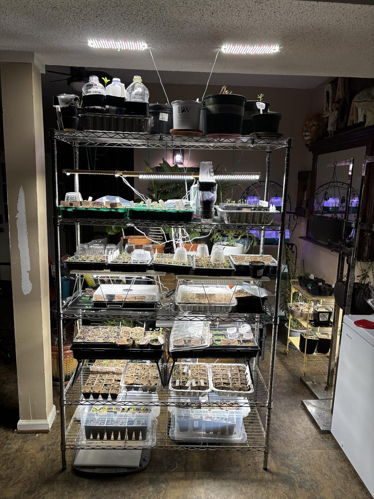 SDOVUERC Full Spectrum 768 LEDs Grow Lights, Plant Grow Lights for Indoor Plants with Daisy Chain Function, Sunlike Spectrum,4/8/12/16/20H Timer for Seed Starting(Pack4) customer photo 2