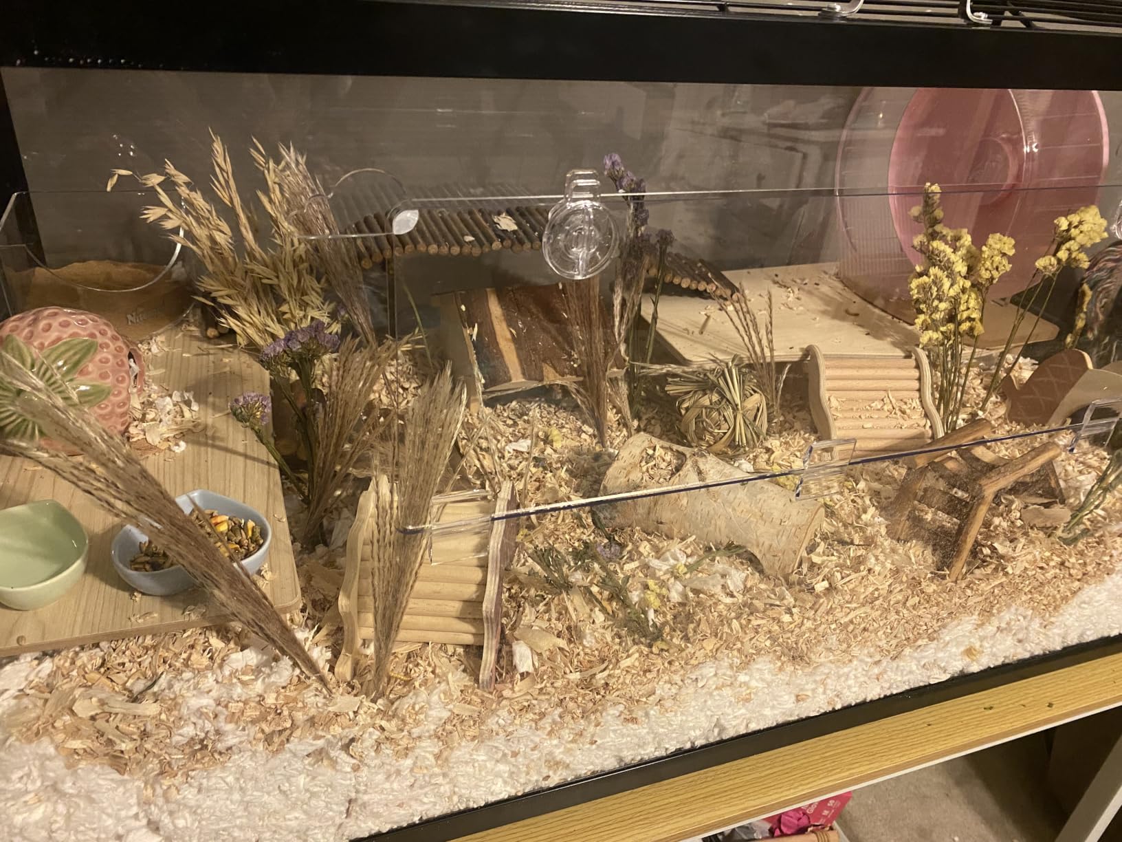 VEVOR Hamster Cage, 360° Viewing Transparent Hamster Habitats, Small Animal Cage, 22.8 x 15 x 21.3 in, Ventilated Pet Mouse Cages with Water Bottle, Portable Hamster House for Rats, Guinea Pigs customer photo 2