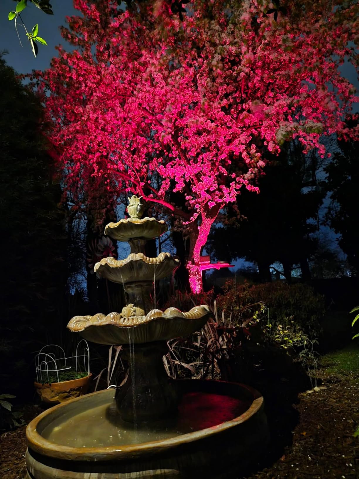 ZUCKEO All-in-One RGBW Landscape Lighting Kit, 5W Color Changing Low Voltage Landscape Lights with Transformer and 80FT Wire, LED Multi-Color Landscape Spotlights for Holiday Yard Garden House, 8Pack customer photo 2