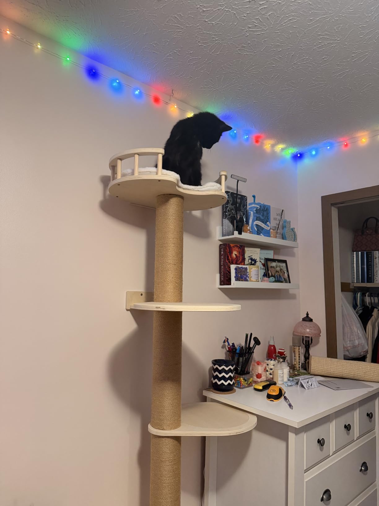 FUKUMARU Cat Wall Shelves, 5-Piece Stable Wooden Wall-Mounted Furniture Set, Kitty Climber with Hammock, House, Steps, Scratching Post (Beige) customer photo 2