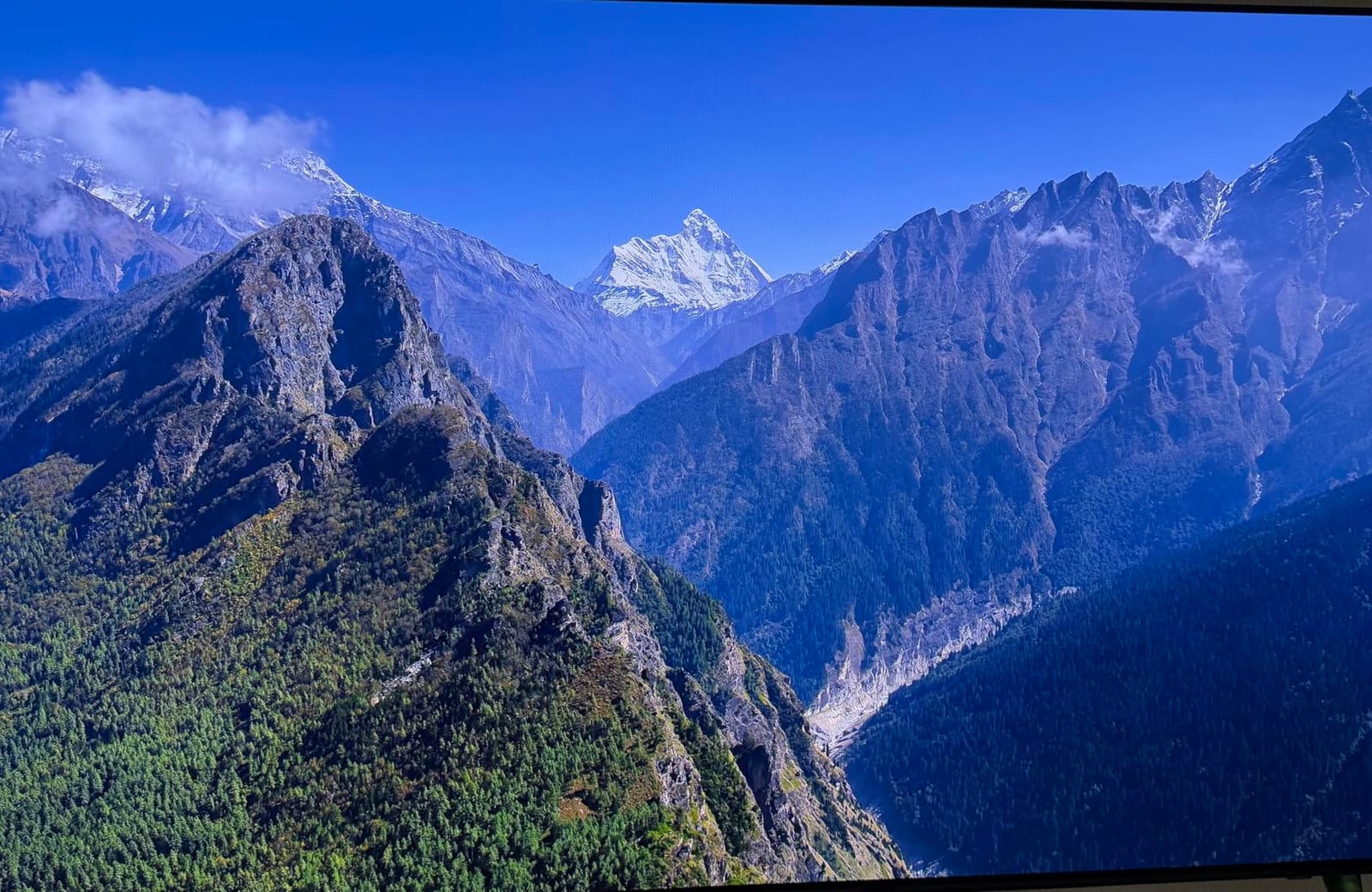 Samsung 65-Inch Class OLED S90F 4K Smart TV (2025 Model) NQ4 AI Gen3 Processor Upscaling Pro HDR +, Motion Xcelerator 144Hz, Vision Alexa Built-in customer photo 2