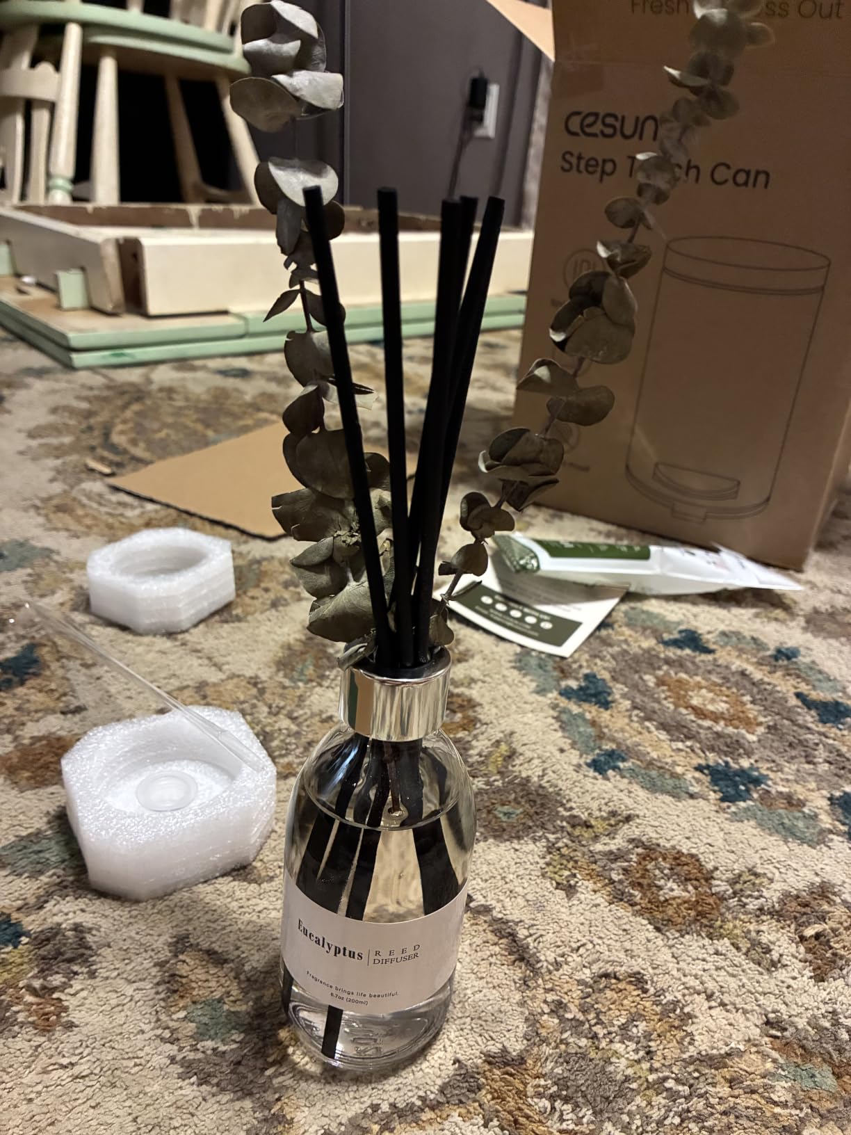 Clesh Reed Diffuser Set, 6.7 oz Eucalyptus Scented Diffuser with Sticks, Home Fragrance Reed Diffuser for Bathroom Shelf Decor customer photo 2