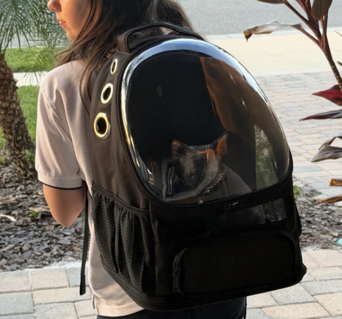 Amazon Basics Pet Carrier Backpack for Small Cats & Dogs, Collapsible Travel Carrier with Bubble Window & Breathable Mesh, Foldable for Travel, Black customer photo 1