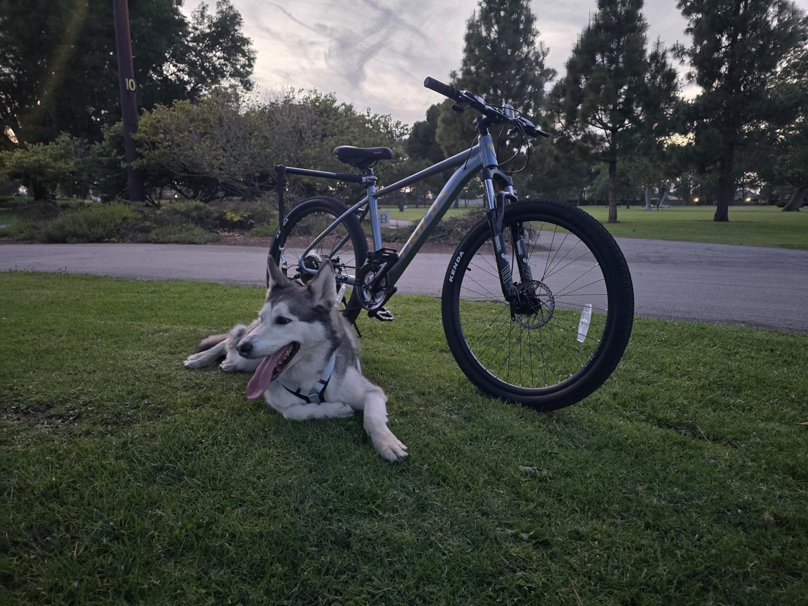 TRIFOX 26 Inch Aluminum Mountain Bike with Shimano 21-Speed, Aircraft-Grade Aluminum Frame, Dual Disc Brakes, 15/17 Inch Internal Cable Routing Frame for Men Women Boys Girls customer photo 2