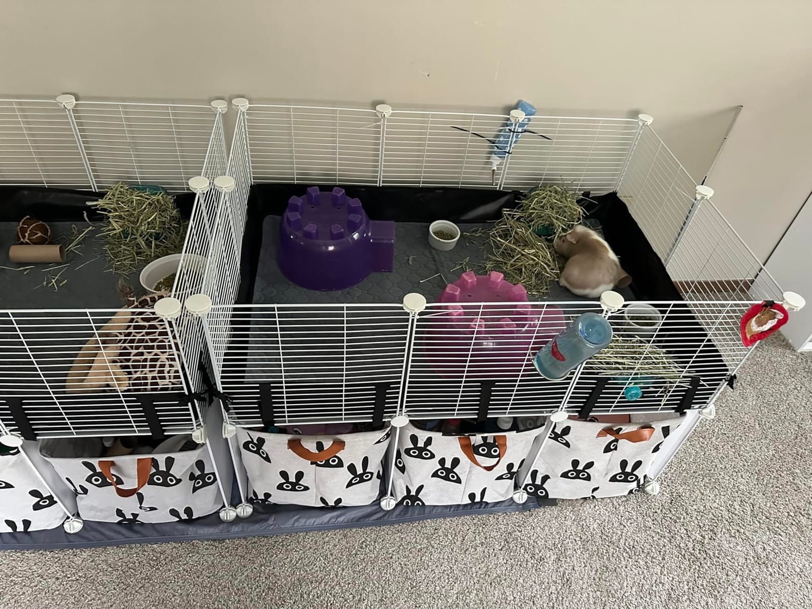 MEEXPAWS Guinea Pig Cages Small Animal Playpen Large 42
