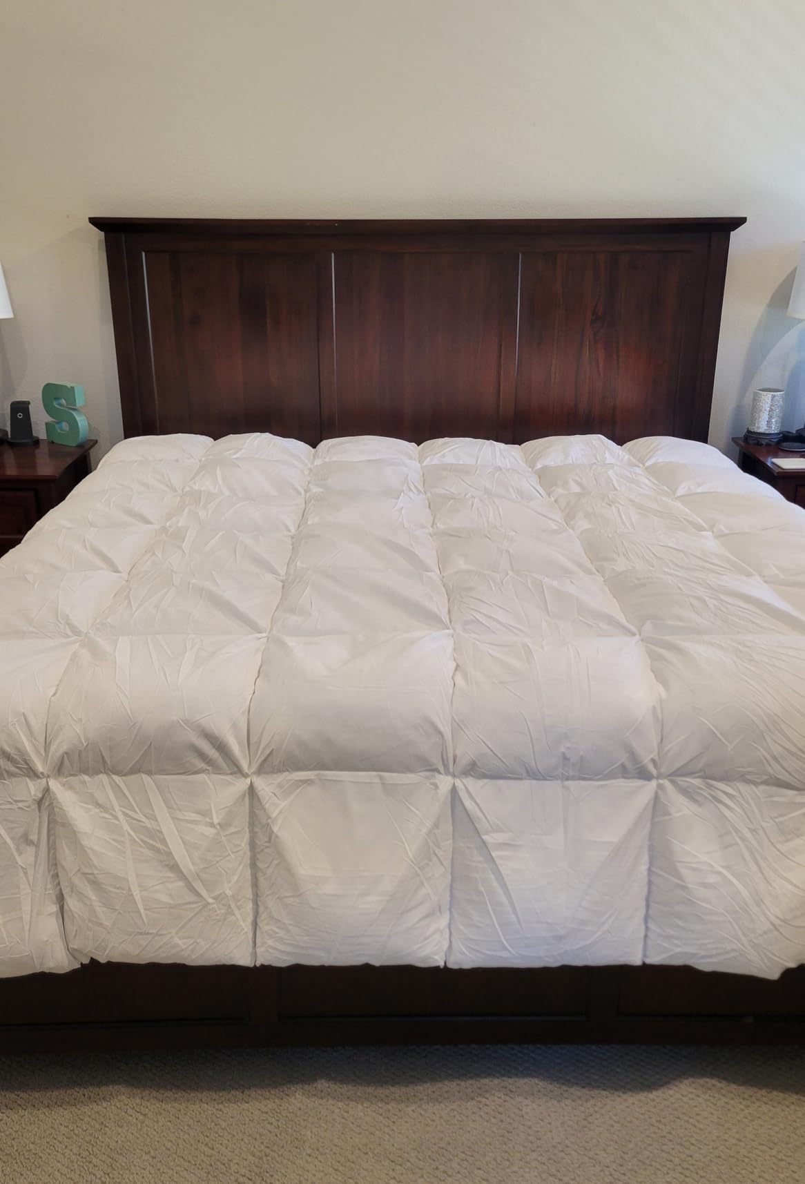 Three Geese Luxury Goose Down Comforter Oversize King Size, Ultra-Soft Fluffy Duvet Insert for All Season, 1800TC Cotton Blended Cover Hotel Style Bedding Comforter 116x98 inch customer photo 1