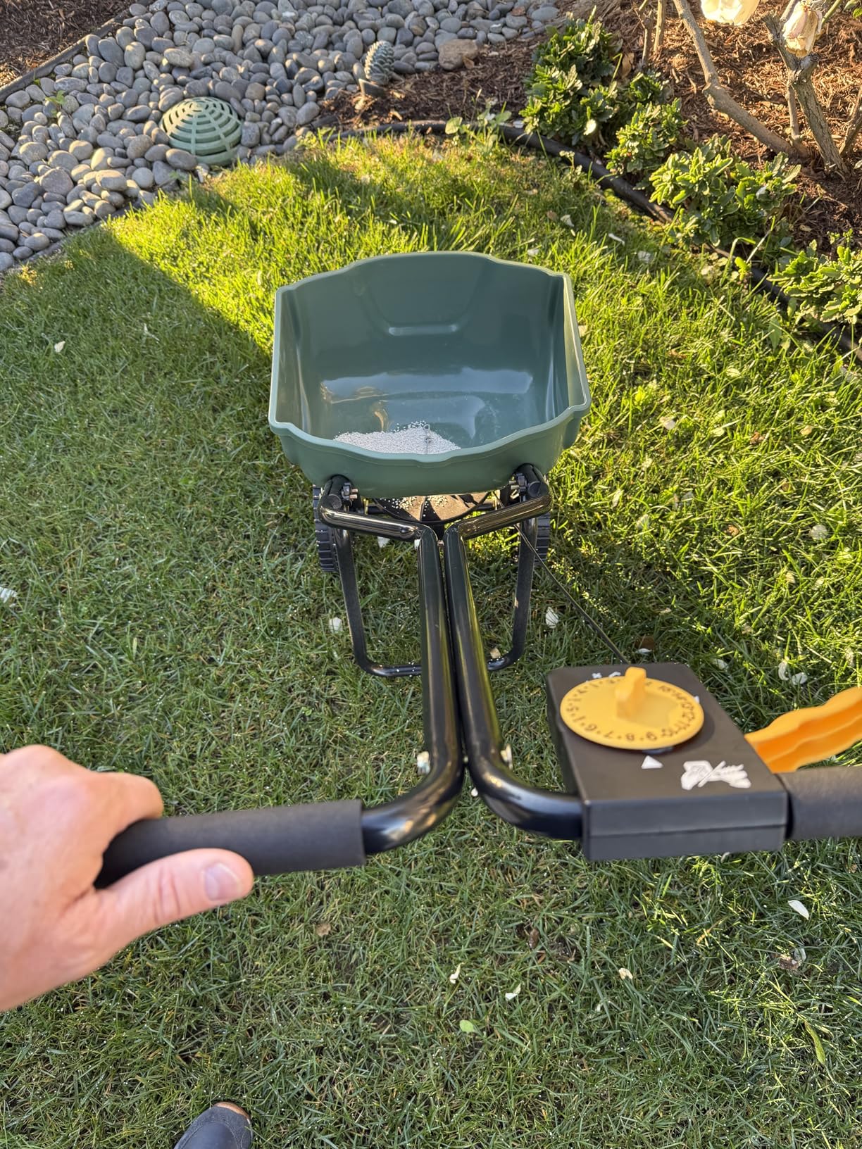 Amazon Basics Fertilizer Spreader for Lawn, Evenly Spreading, Multi-Gear System, Covers 5000 Square Feet per Load, 33 Pounds customer photo 1