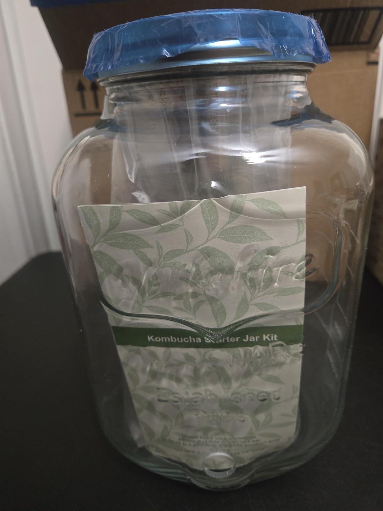 1 Gallon Kombucha Starter Kit, Glass Kombucha Jar with Spigot and Stainless Steel Mesh Filter Fermentation Kit for Home Brewed Kombucha Bottles, Includes Test Strips, Measuring Cups, Cloth Top | 1 Gal kombucha kit for home fermented tea. Spigot, filter & tools simplify DIY brew, ideal gift for kombucha lovers customer photo 1
