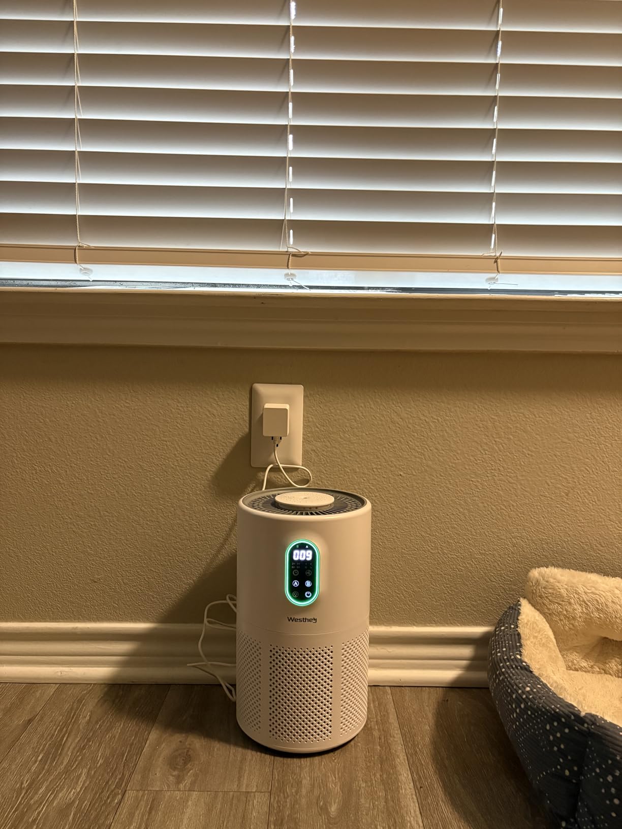 WESTHEY H13 HEPA Air Purifier for Home up to 1650 Sq Ft Washable Pre-Filter | Air Cleaner with PM2.5 Display, Auto & Sleep Modes, Night Light and Fragrance Sponge for Wildfire Smoke, Dust and Pet Dander customer photo 1