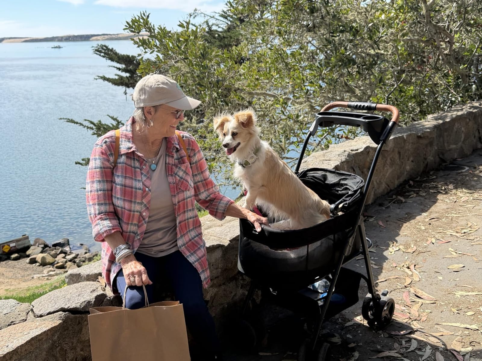 Zoosky 3 in 1 Dog Stroller, Folding Pet Stroller with Removable Carrier, Small/Medium Dogs and Cats, Waterproof, All-Terrain & 2 Sun Shades, Car Seat, 360 Breathable Mesh customer photo 1