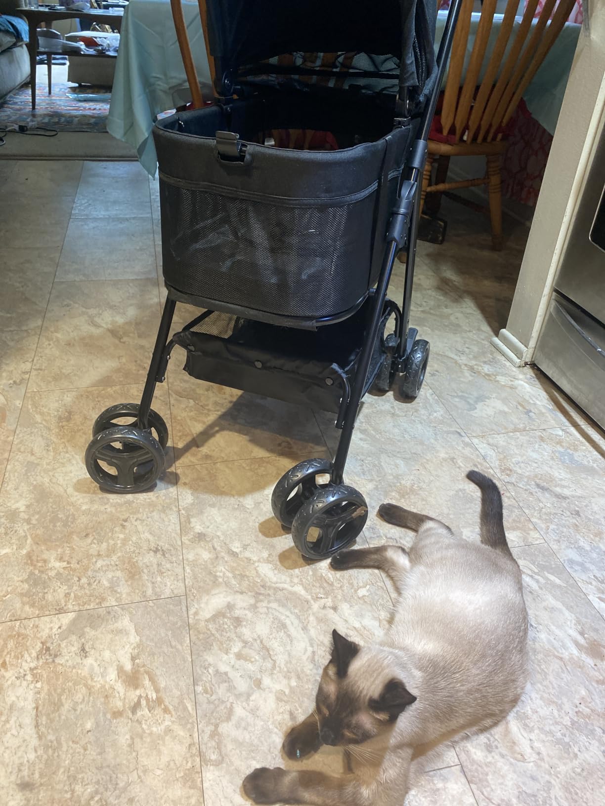 Zoosky 3 in 1 Dog Stroller, Folding Pet Stroller with Removable Carrier, Small/Medium Dogs and Cats, Waterproof, All-Terrain & 2 Sun Shades, Car Seat, 360 Breathable Mesh customer photo 2