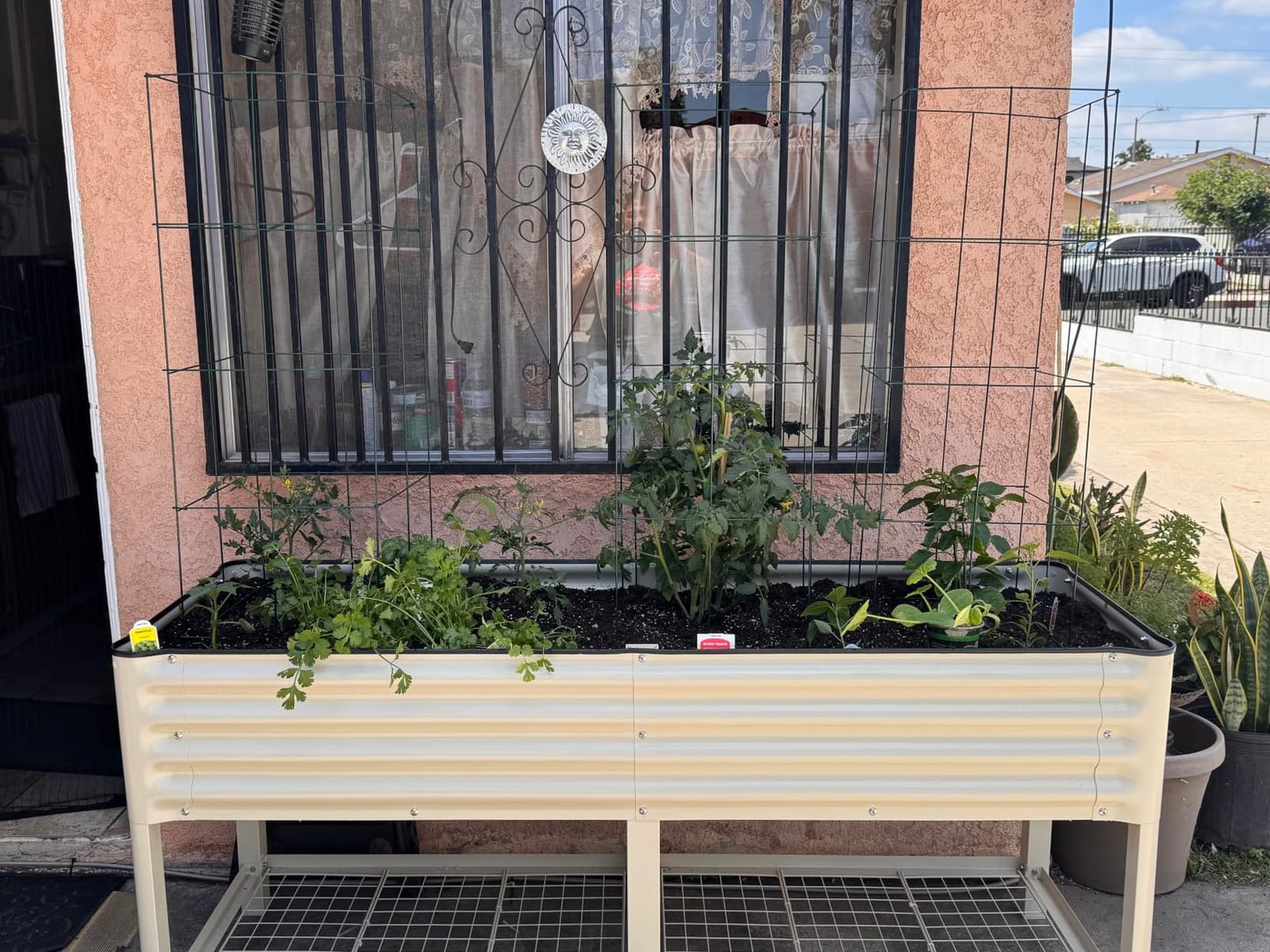 Vego garden Elevated Raised Garden Bed, 2' x 6' Outdoor Planters Boxes with Legs & Storage Rack for Patio, 1000 Lbs Weight Capacity, Raised Beds for Gardening Herbs Vegetables, Modern Gray customer photo 1