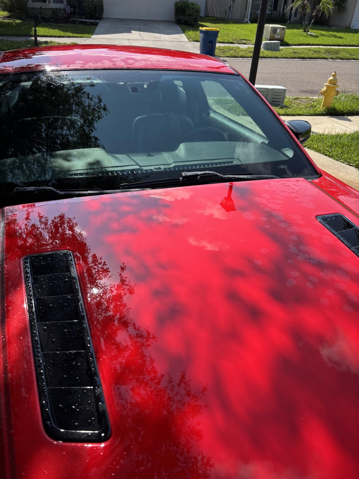 AvalonKing Armor Shield IX - DIY Ceramic Coating Kit for Cars - High Gloss, Hydrophobic & 2-Year Protection customer photo 1