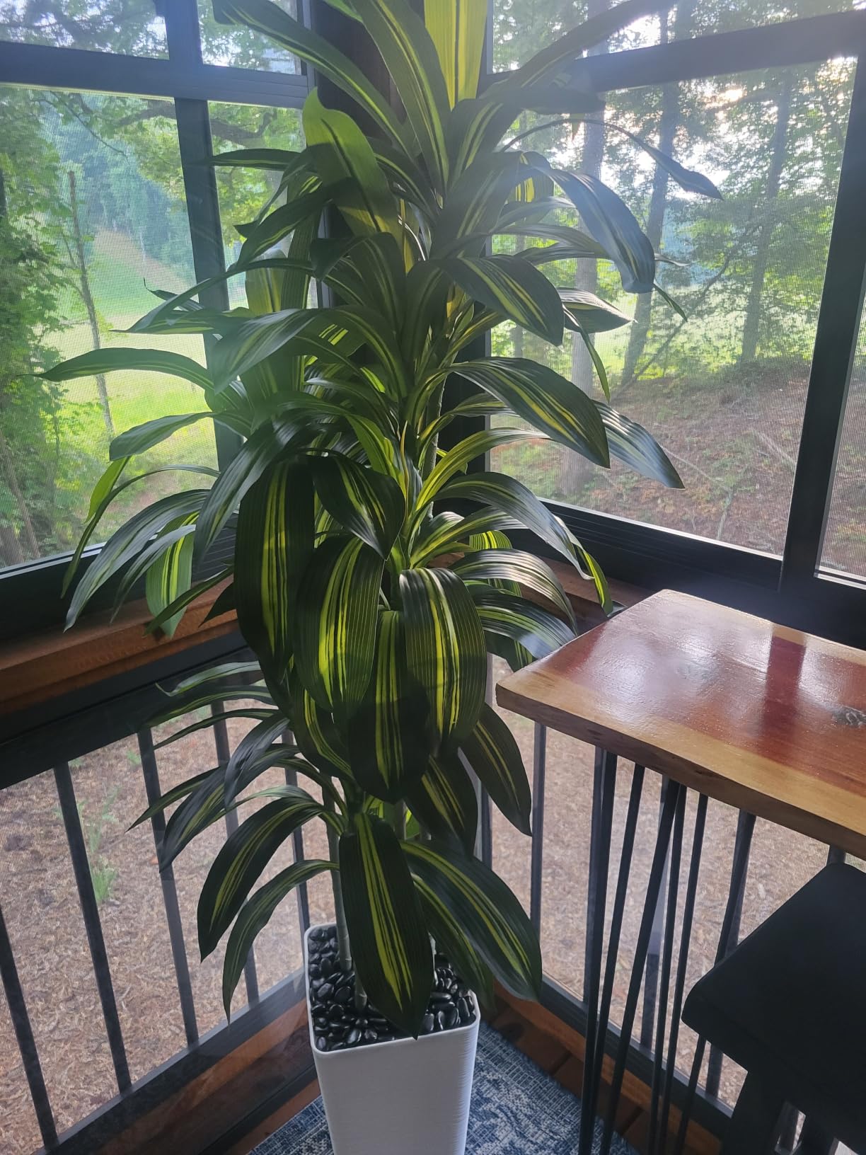Artificial Dracaena Tree: 6FT Fake Plants Silk Faux Trees (White Pot) | Realistic Fake Floor Plant with Natural Wood Trunk & Lifelike Leaves in Tall Planter for Home Office Decor Indoor & Outdoor customer photo 2