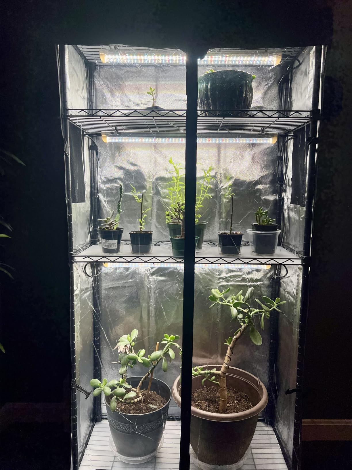 Indoor Greenhouse with Grow Light, Oxford and Tray, 29.5x13.8x59in | 4-Tier Indoor Greenhouse Cabinet, Base Tray, 4-Pack Full Spectrum LED, 96W Total, Ideal for Seed Starting, Indoor Growing customer photo 1