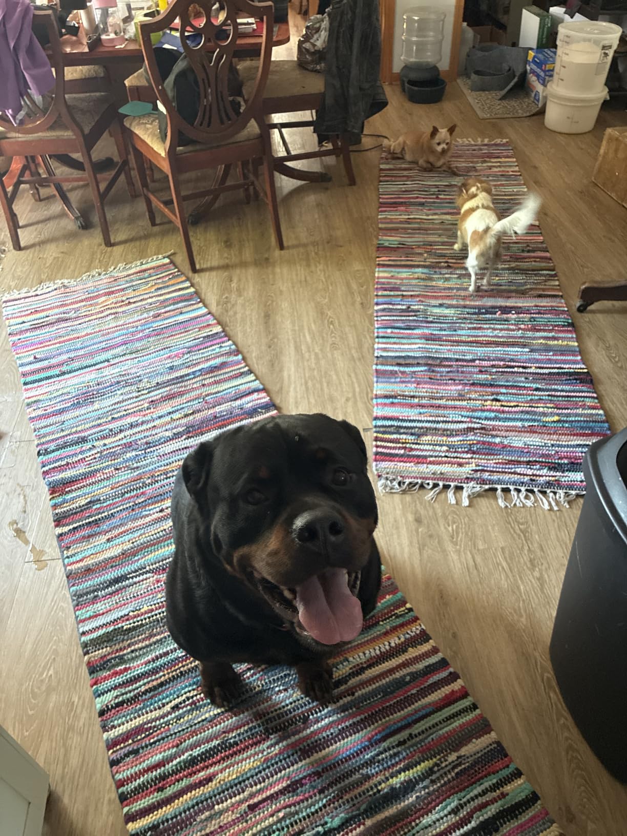 Veken Non Slip Cushioned Rug Pad Gripper, Felt and Silicone Backing, 8 x 10 Ft, 1/4 inch Thick Carpet Liner Protector Mat for Area Rugs and Hardwood Floors customer photo 2