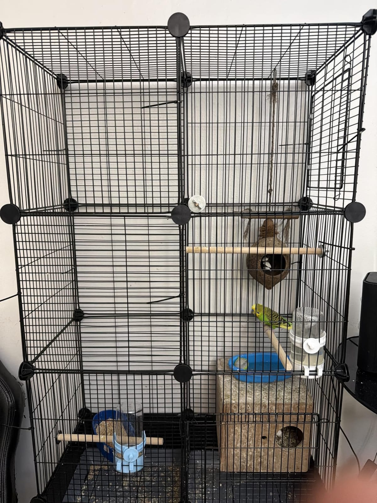 VISCOO Upgraded Encrypted Metal 46-Inch Bird Cage for Parrot Parakeets | Parakeet Cage with Wooden Perches, Slide-Out Tray, Water Bottle & Feeder for Cockatiel, Lovebird, Small Mid-Sized Birds customer photo 2