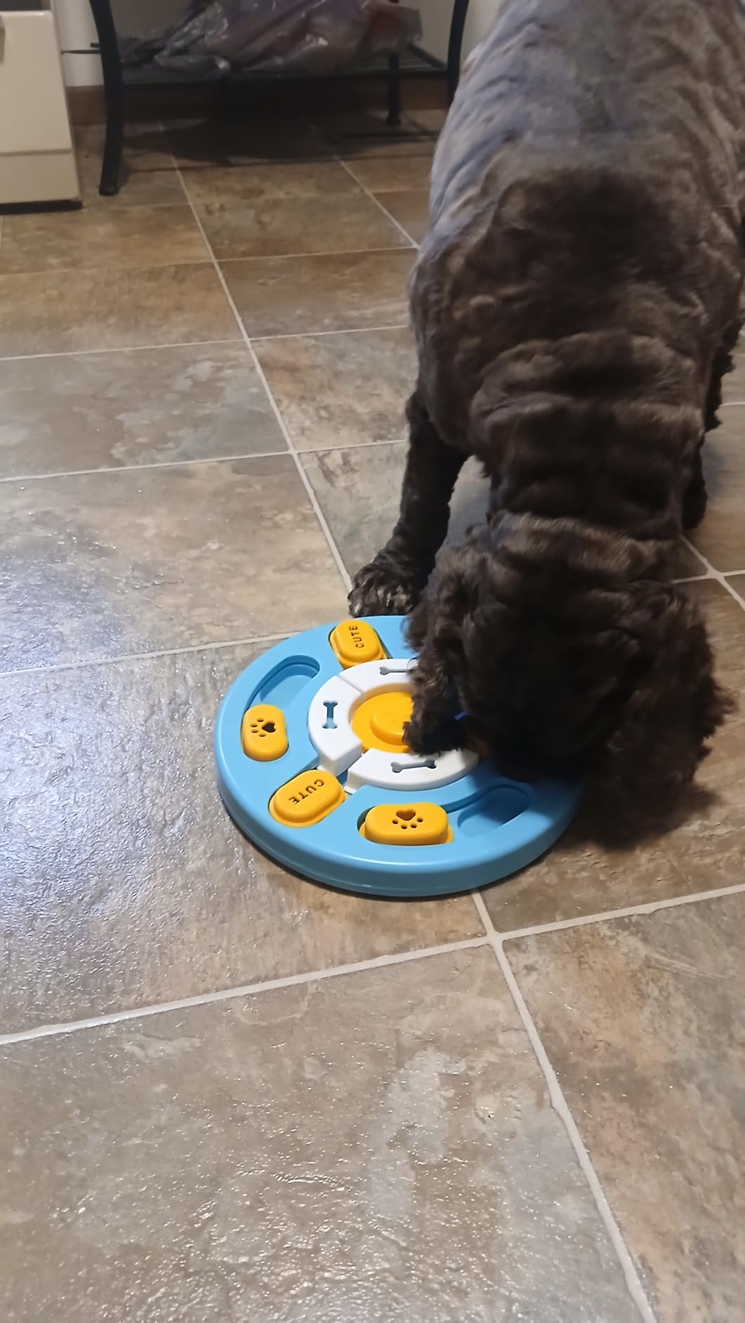 KIPRITII Dog Enrichment Toys with Lick Mat, Puzzle Toy & Slow Feeder | For Small & Medium Dogs,Healthy Eating Habits,Mental Stimulation,Keeps Dogs Engaged customer photo 1
