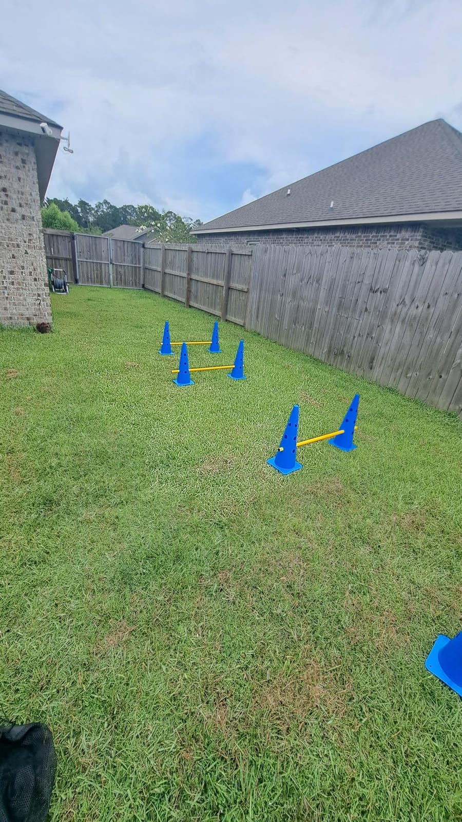 Dog Agility Course Backyard Set, Dog Agility Hurdle Cone Set with Height Adjustable Crossbar for Rehabilitation & Beginners, Dog Agility Equipment for Dog Obstacle Course - 12 Inch customer photo 1
