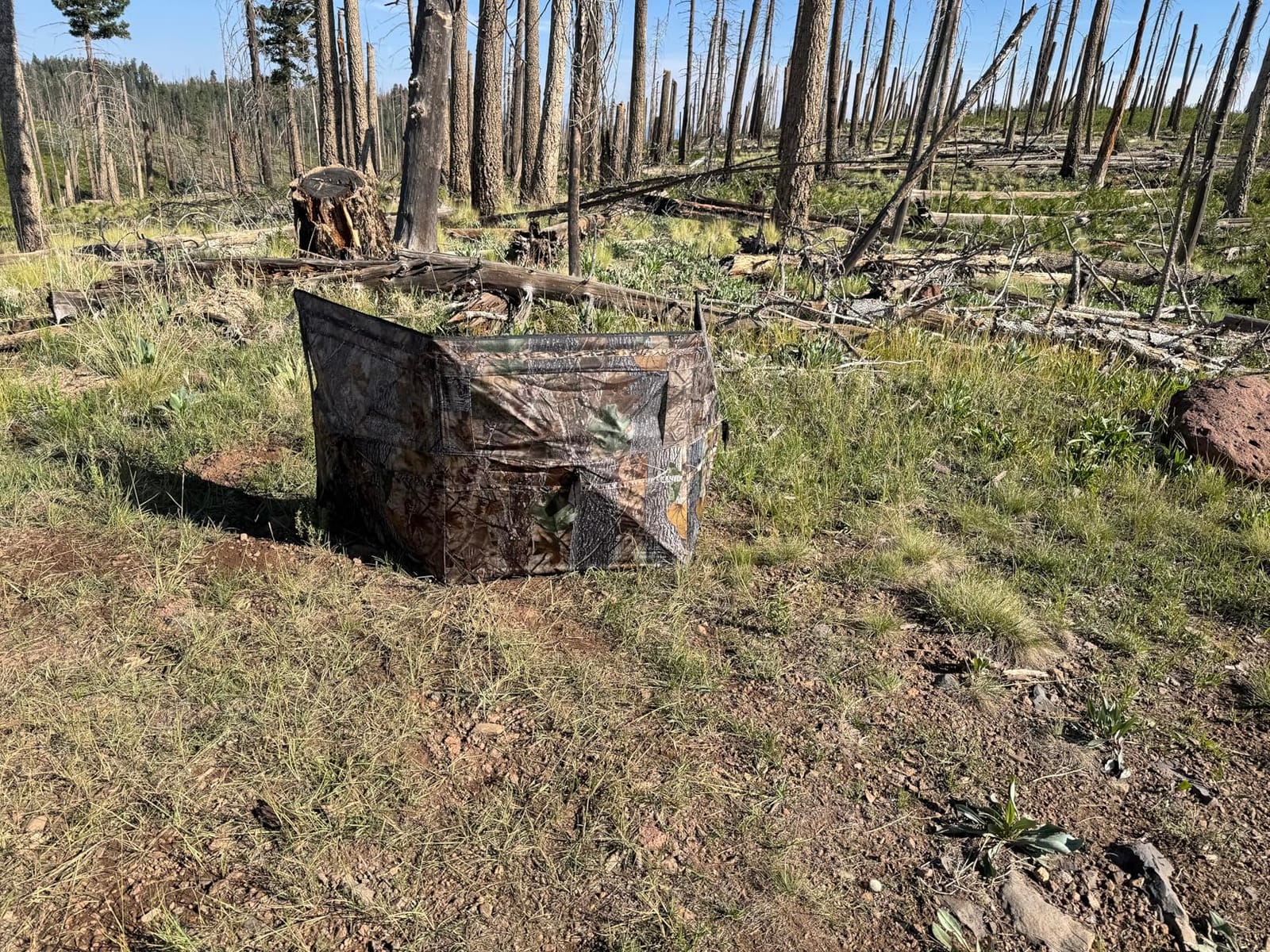 See Through Hunting Blind, 4 Panel Pop Up Ground Blind for Deer Hunting | 360° One-Way Visibility, Camouflage Panel Blind, Silent Adjustable Windows, Dog Door, Carry Bag for Deer Turkey Hunting customer photo 2