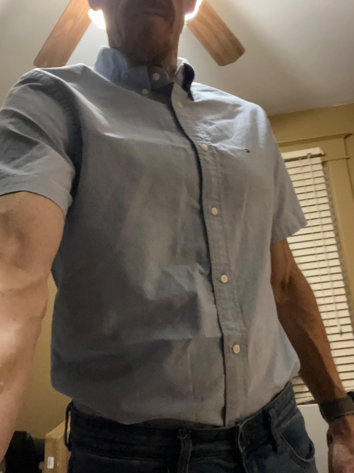 Tommy Hilfiger Men's Short Sleeve Oxford Shirts in Regular Fit, Men's Button Down Shirts customer photo 2