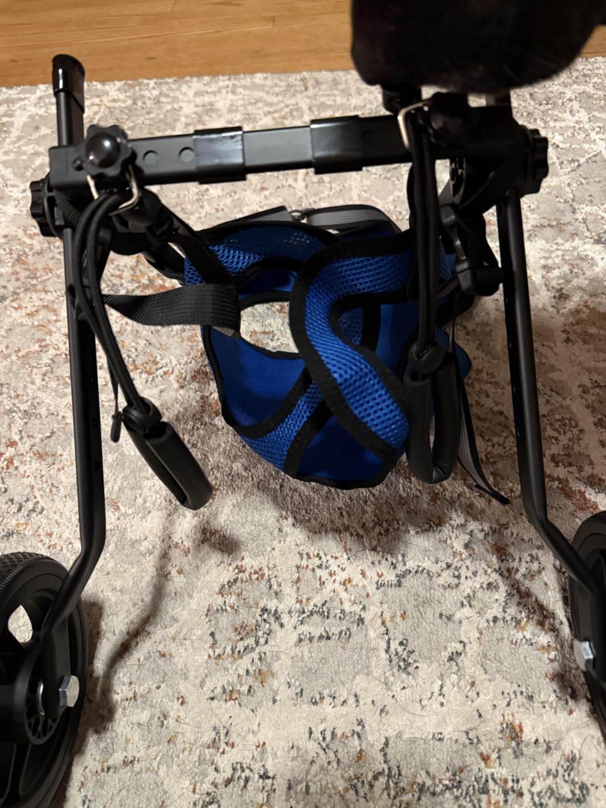 Dog Wheelchair for Back Legs, Dog Wheelchair Cart, Doggy/Cat Wheelchairs with Disabled Hind Legs Walking, Mobility Aids for Small Pets Hind Limbs, Dogs Carts with Wheels, Light Weight customer photo 1