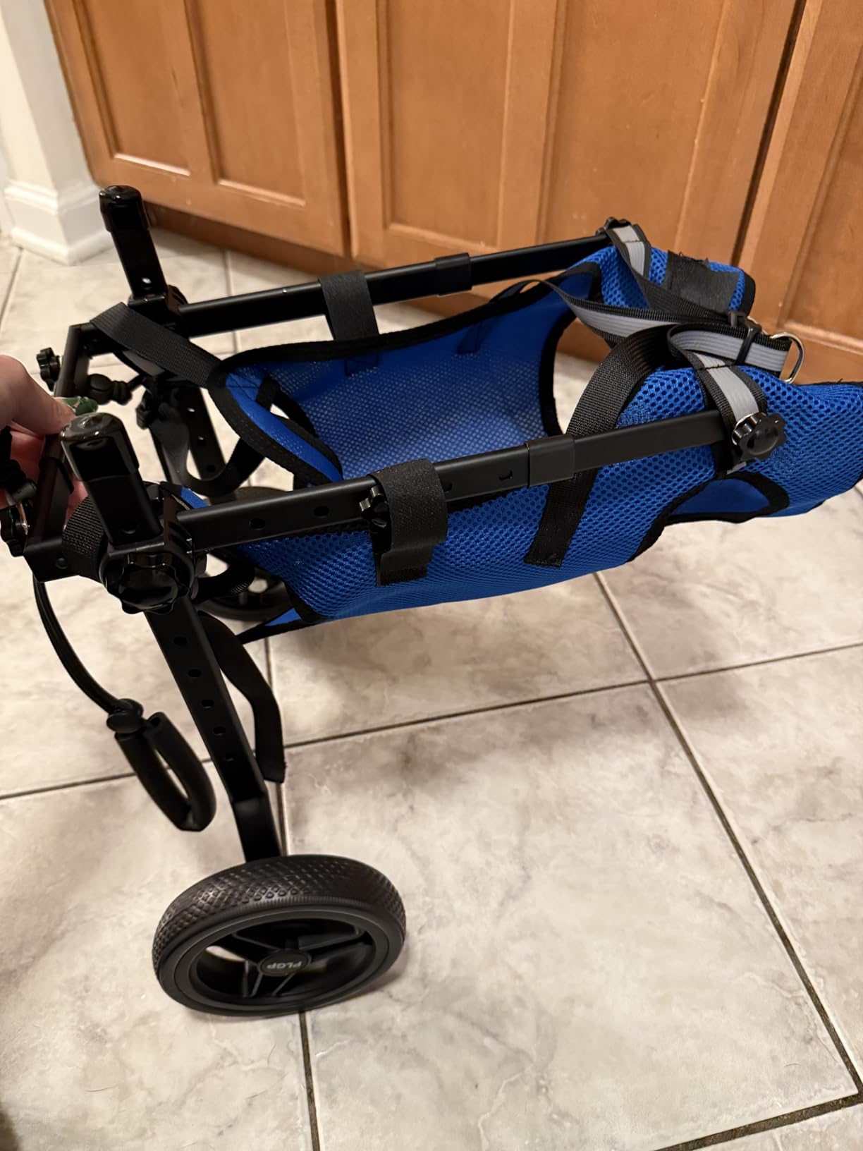 Dog Wheelchair for Back Legs, Dog Wheelchair Cart, Doggy/Cat Wheelchairs with Disabled Hind Legs Walking, Mobility Aids for Small Pets Hind Limbs, Dogs Carts with Wheels, Light Weight customer photo 2
