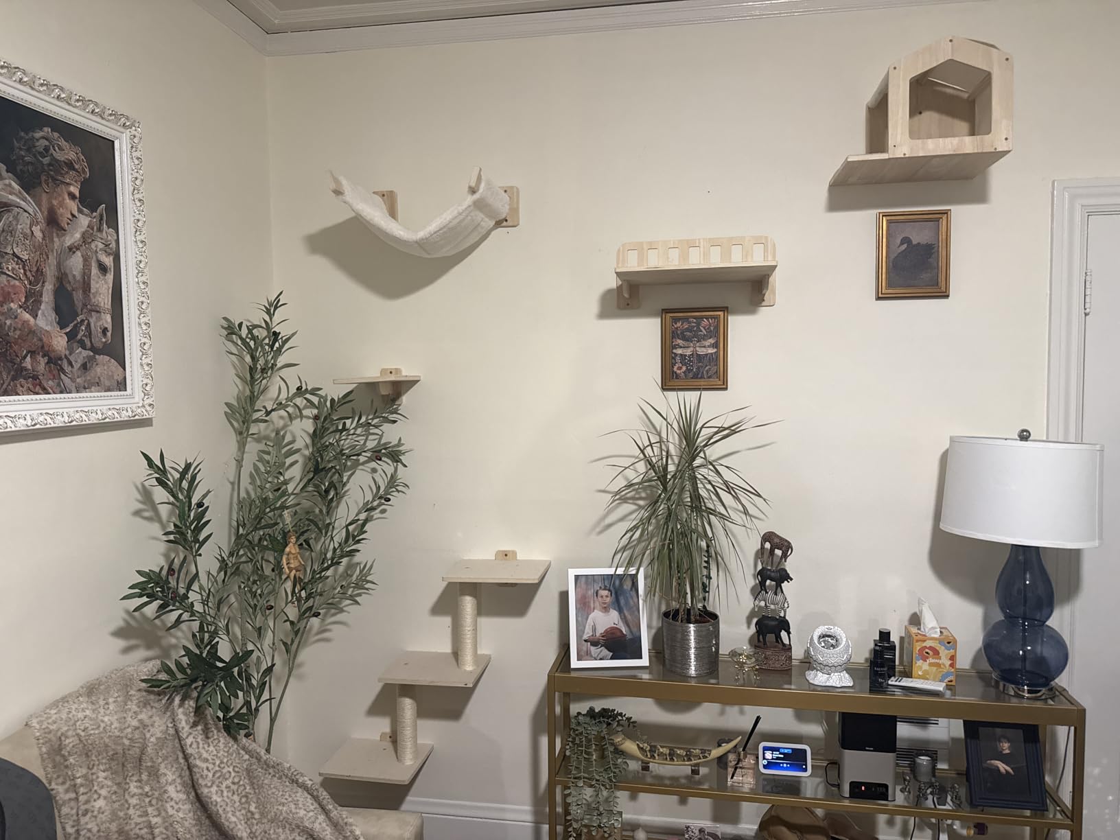5-in-1 Cat Wall Shelves for Large Cat, Large Hammock, Wide Perch | Cat Wall Climbing Furniture Set, 16