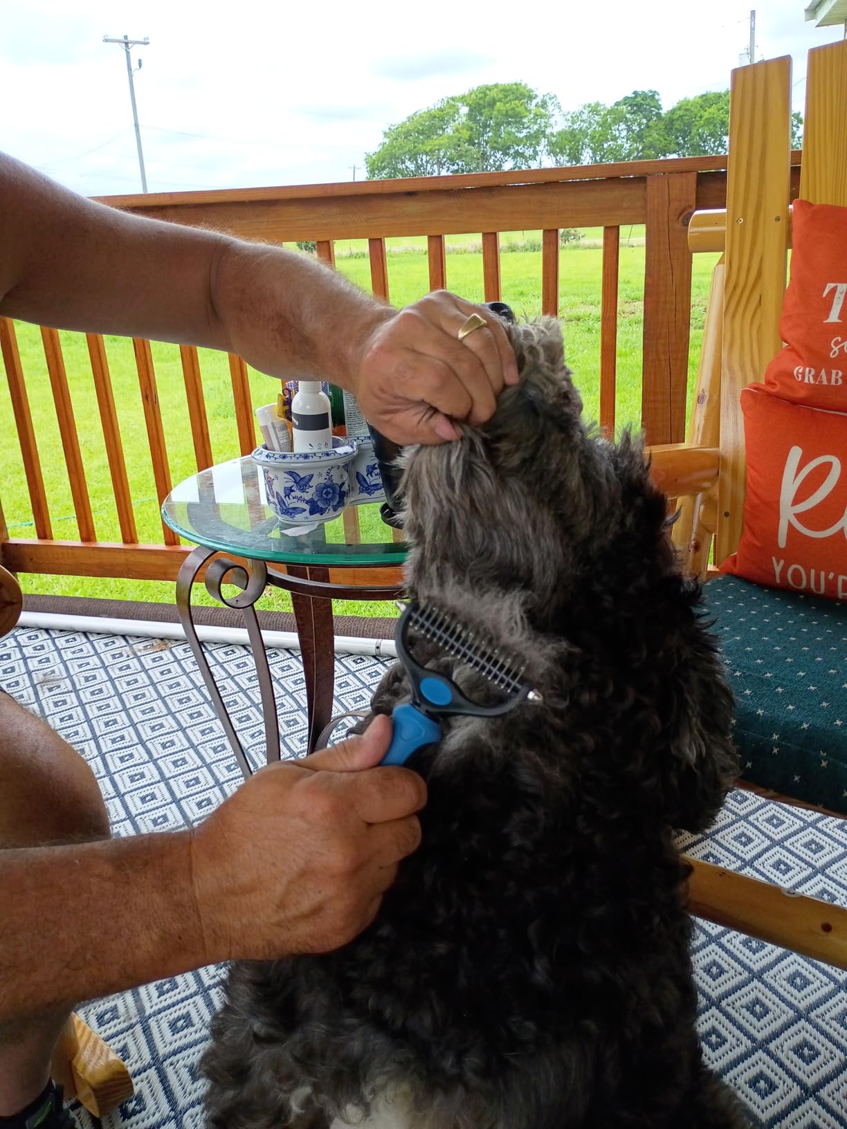 Pat Your Pet Deshedding Brush & Metal Comb Grooming Combo | Deshedding brush, metal detangling comb, long and short hair, cats and dogs, skin-friendly customer photo 2