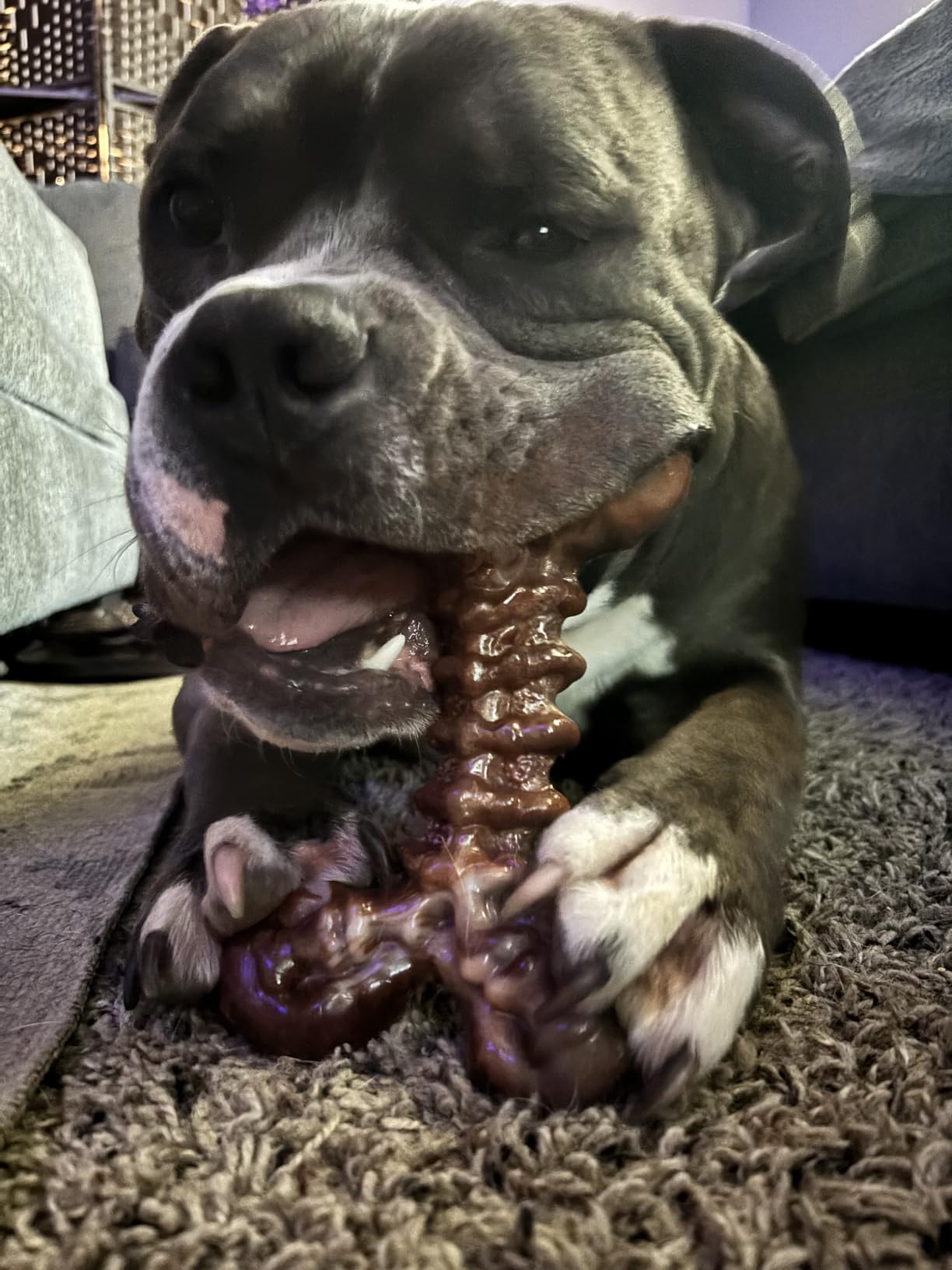 Kseroo 3-Pack Indestructible Dog Chew Toys for Aggressive Chewers, 25-100lbs | Bacon Flavored Rock-Hard Solid Nylon Dog Bones for Medium & Large Breeds, Keeps Them Busy, Dental Textured, Long Lasting - XL customer photo 2