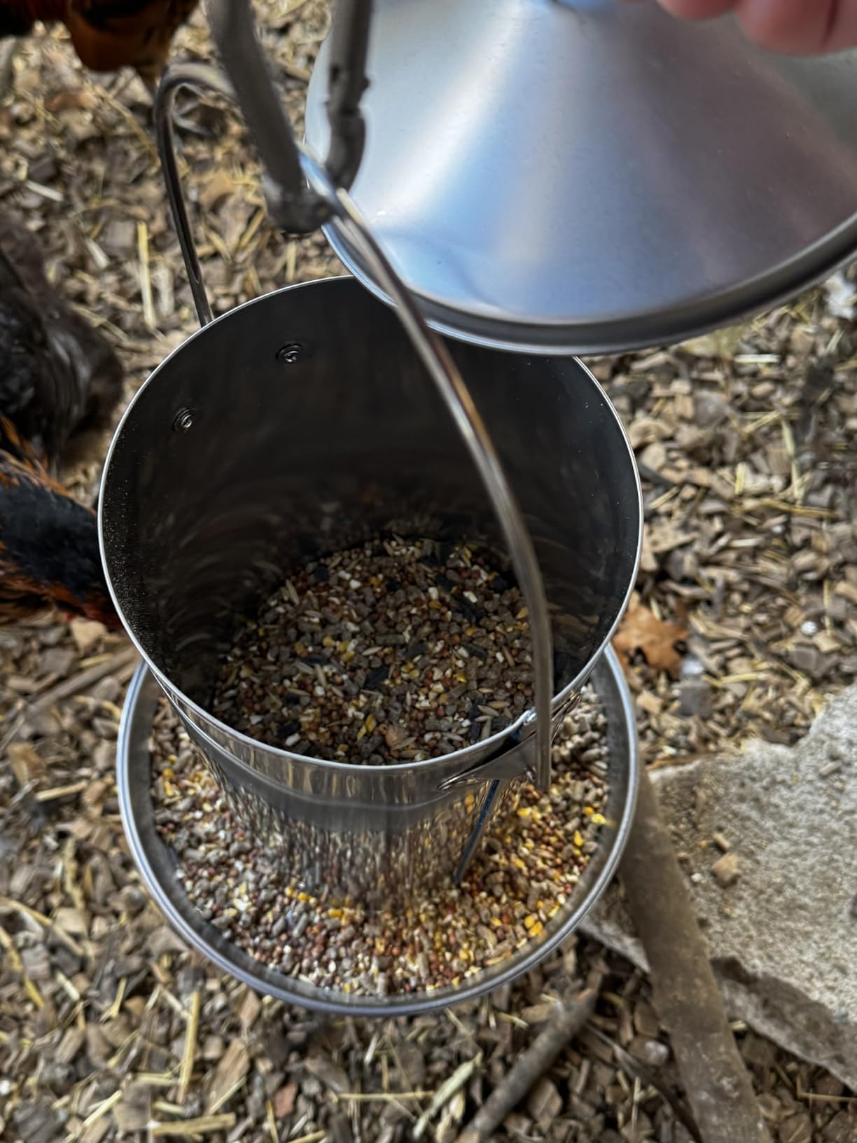Chicken Feeder - 304 Stainless Steel 8.8 lb Rust-Proof No Waste Poultry Feeder for Outdoor Coops, Chickens, Ducks & Small Farms customer photo 2