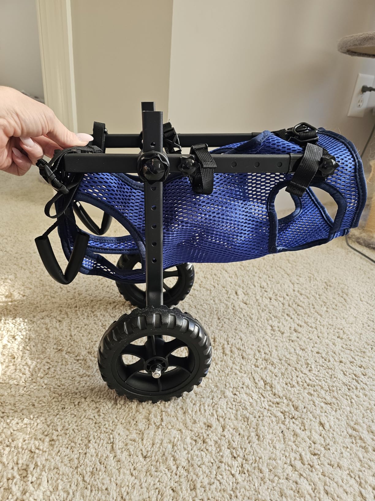 Dog Wheelchair for Back Legs, Dog Wheelchair Cart, Doggy/Cat Wheelchairs with Disabled Hind Legs Walking, Mobility Aids for Small Medium Pet Hind Limbs, Dogs Cart with Wheels, Light Weight, customer photo 1