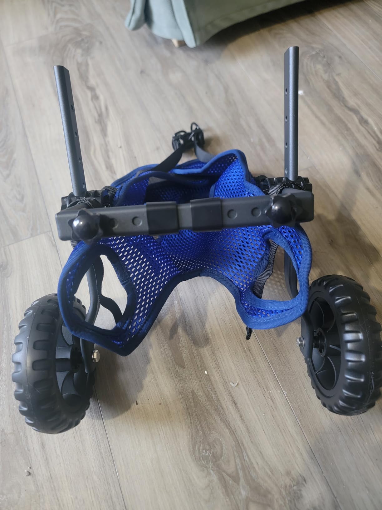 Dog Wheelchair for Back Legs, Dog Wheelchair Cart, Doggy/Cat Wheelchairs with Disabled Hind Legs Walking, Mobility Aids for Small Medium Pet Hind Limbs, Dogs Cart with Wheels, Light Weight, customer photo 2