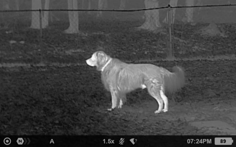 Pulsar Axion Compact Thermal Monocular customer photo 2