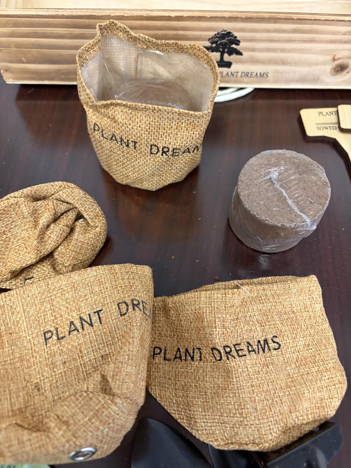 Bonsai Tree Kit, Bonsai Starter Kit with Seeds & Tools, Tree Live Plants Indoor, Gardening Gifts for Women Men Mom Father Plant Lover, Birthday Gifts for Women, Father Day Gifts customer photo 1